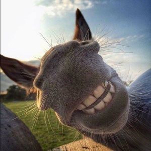 Meet your Posher, Gina